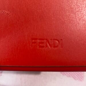 Fendi Eyeglass Case
